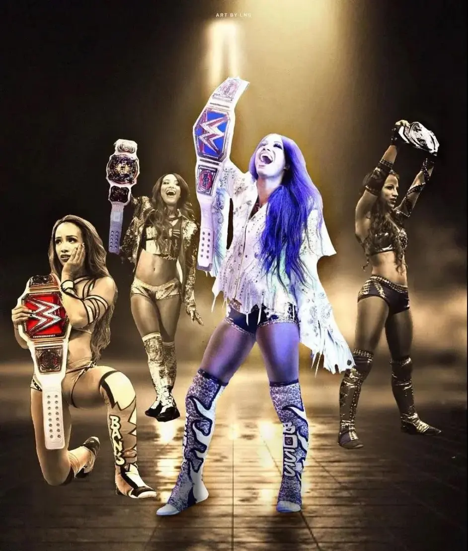 性感女星还是实力战将 谁会成为莎夏 班克斯的下一个对手 哔哩哔哩