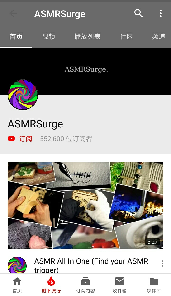 国外ASMR视频主(关注量的解析)(在B站比较知