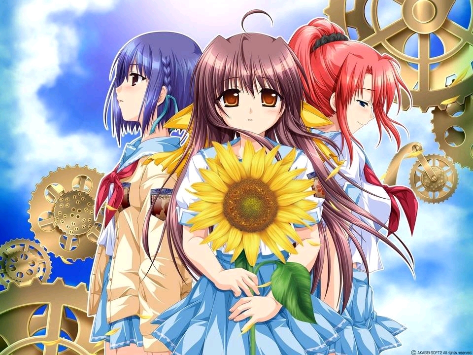 本命gal回忆录之《车轮之国向日葵的少女》