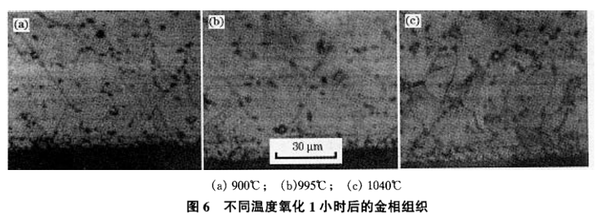 上海霆钢金属集团有限公司