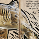 方舟模组生物介绍：旋齿鲨！（ARK Additions:The Collection!)