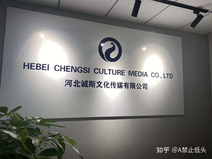 河北文化传媒行业的最新发展动态