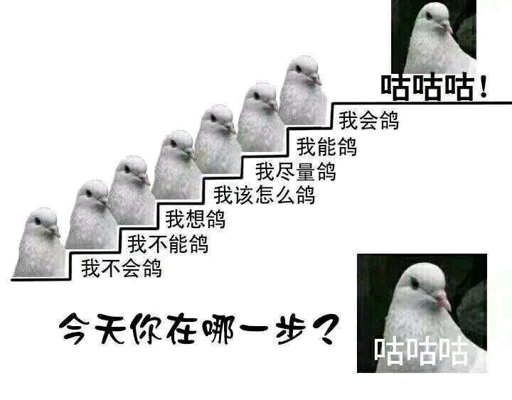 可复制鸽子表情符号图片