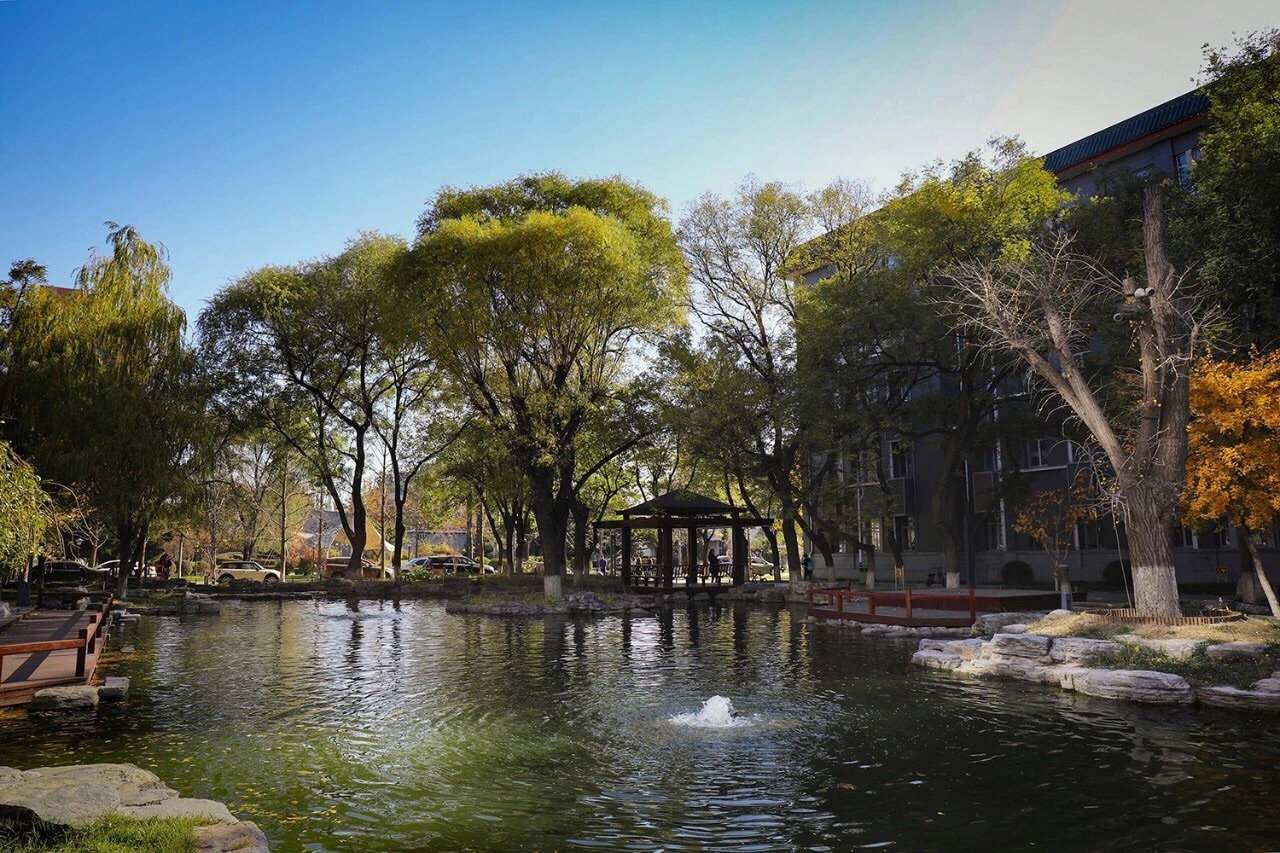 明德湖 你在桥上看鱼看花,我在桥下看他看她