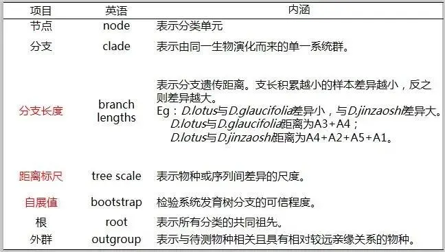 秋天来了 不用mega种棵树吗 哔哩哔哩