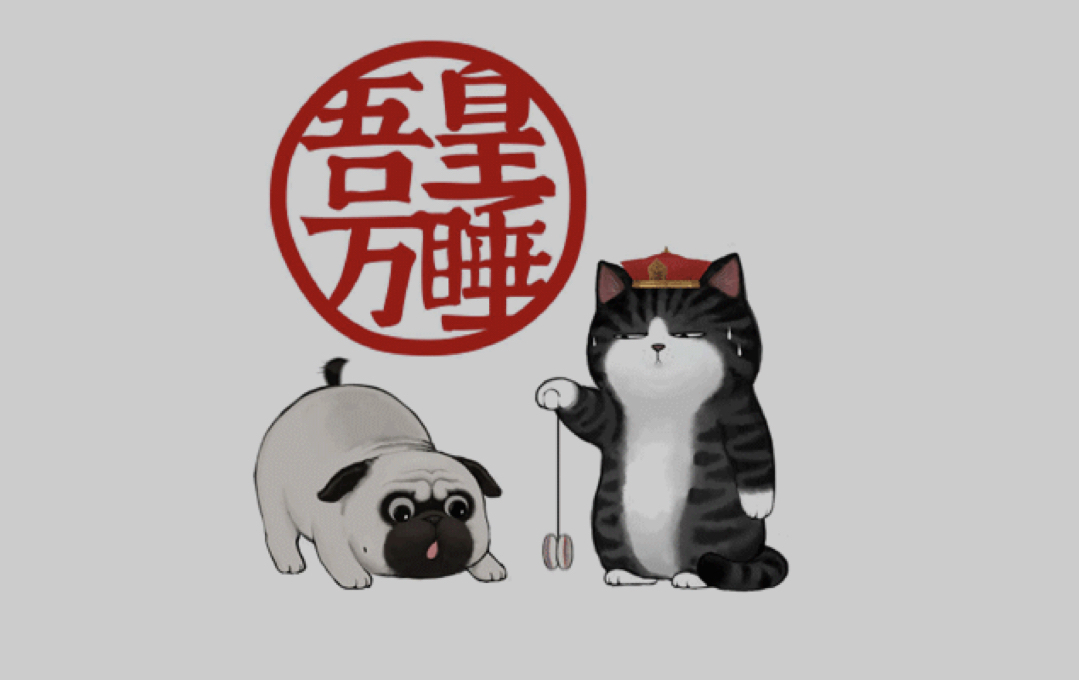 【吾皇万睡】我不想让它再流浪了.