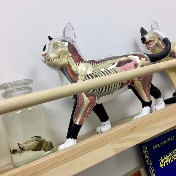 华为magic2简单上手体验 第一次使用滑屏加全