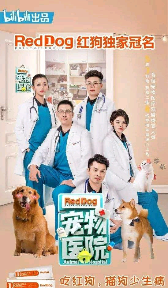 吹爆这部由哔哩哔哩出品的纪录片 宠物医院 堪称动物版人间世 热备资讯