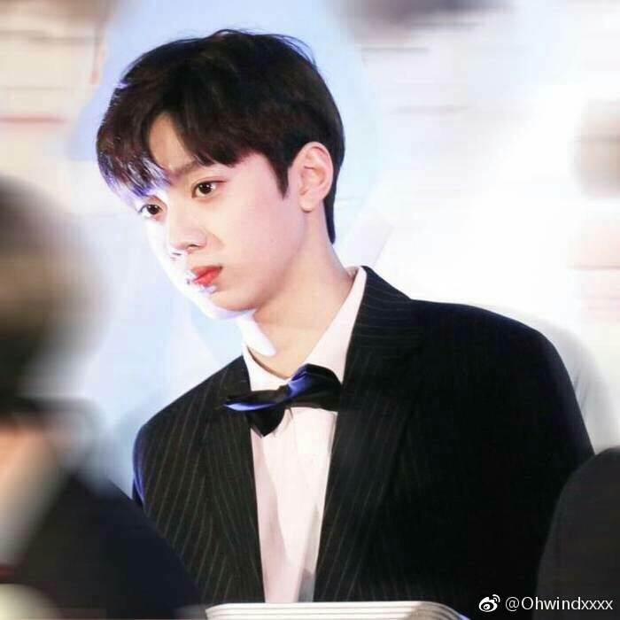 赖冠霖开微博回国发展 6小时快突破50万! 可盐