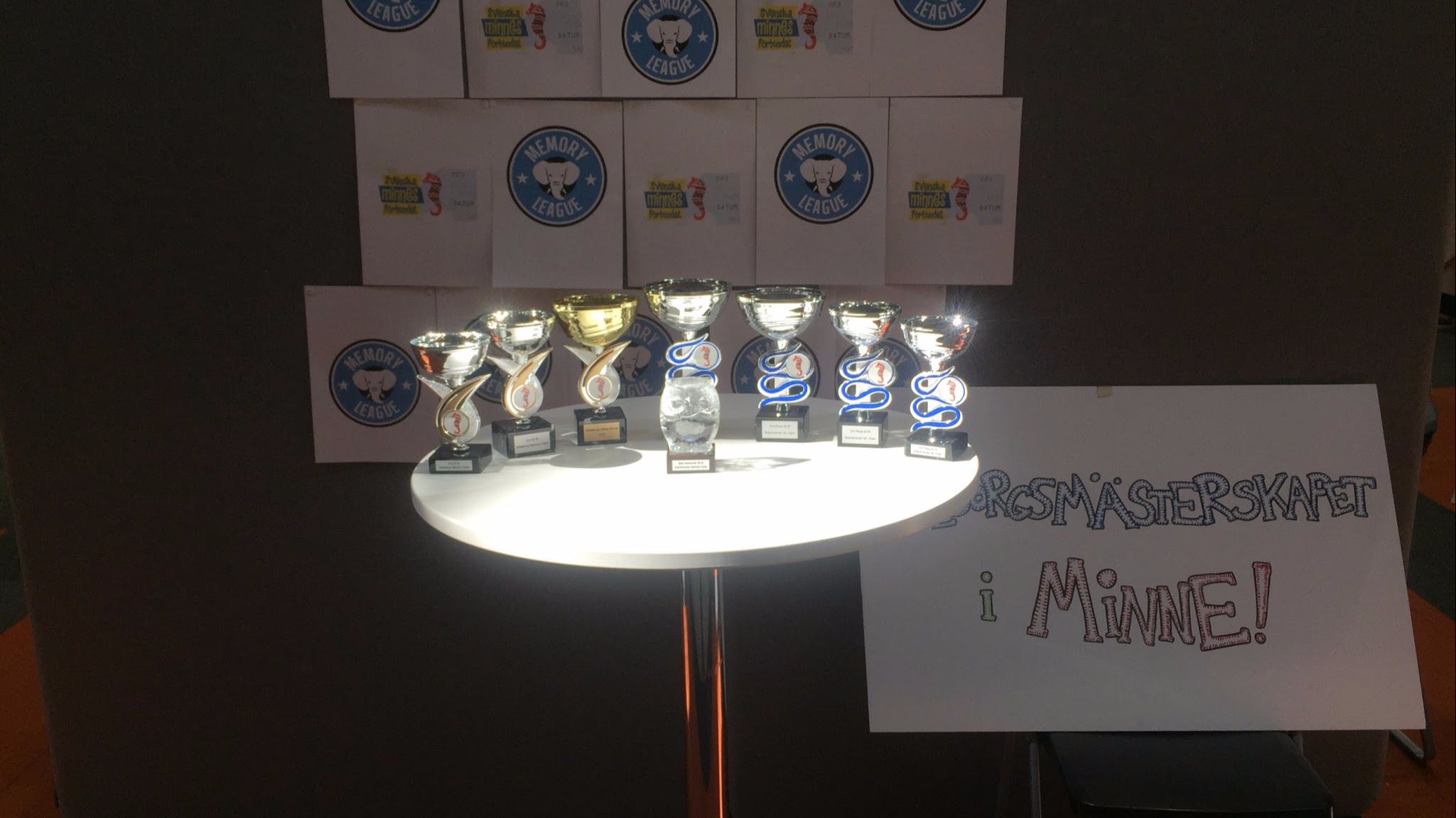 Scandinavian Open Memory League Championship 2018 哔哩哔哩