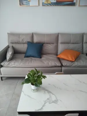 双虎家私轻奢沙发怎么样一个月亲身体验感受,睁大眼看内幕感受