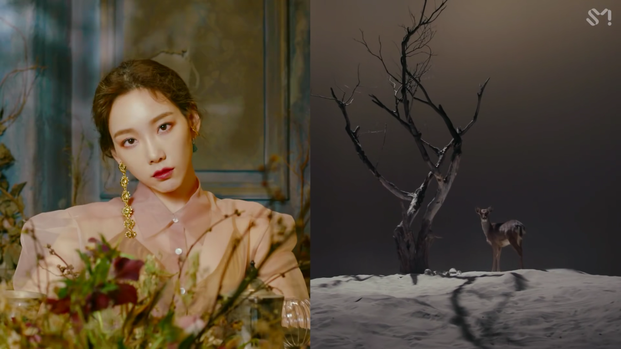 【金泰妍】颜值分析