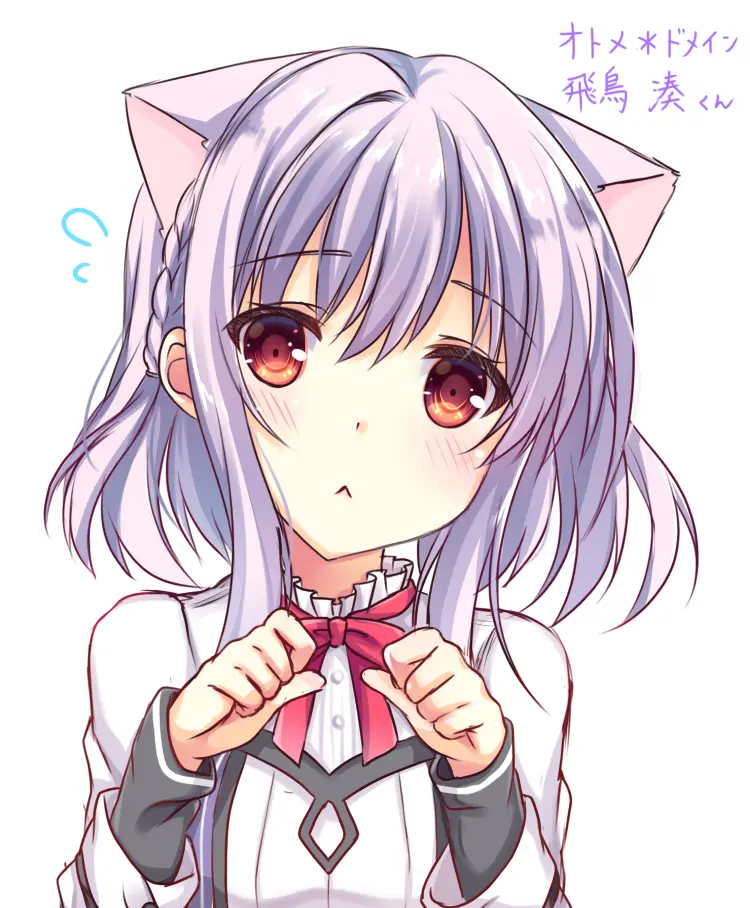 少女领域  飞鸟凑