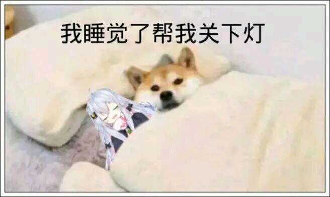 狗妈表情包(第八期)啊～这个人就是娘～啊～这个人就是妈