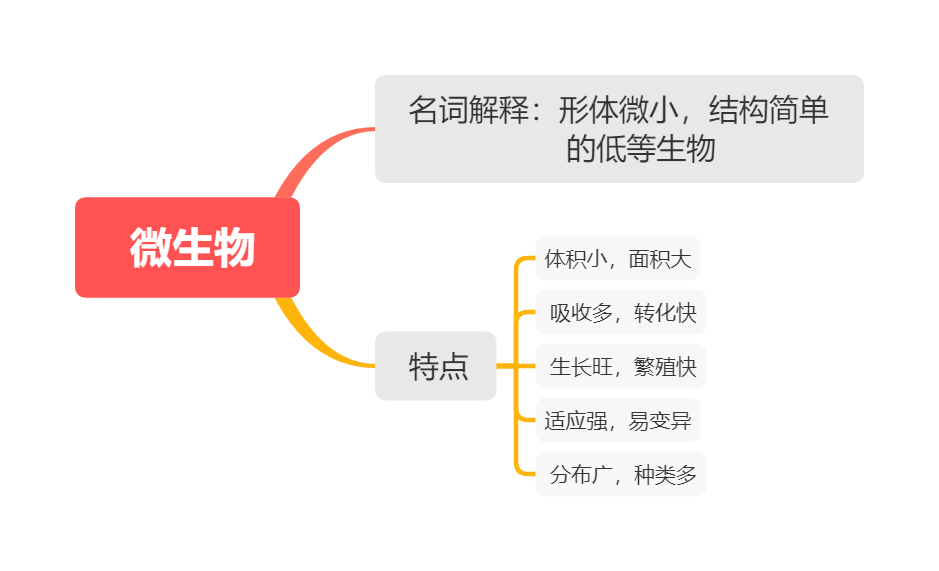 原核微生物細菌細胞結構的思維導圖