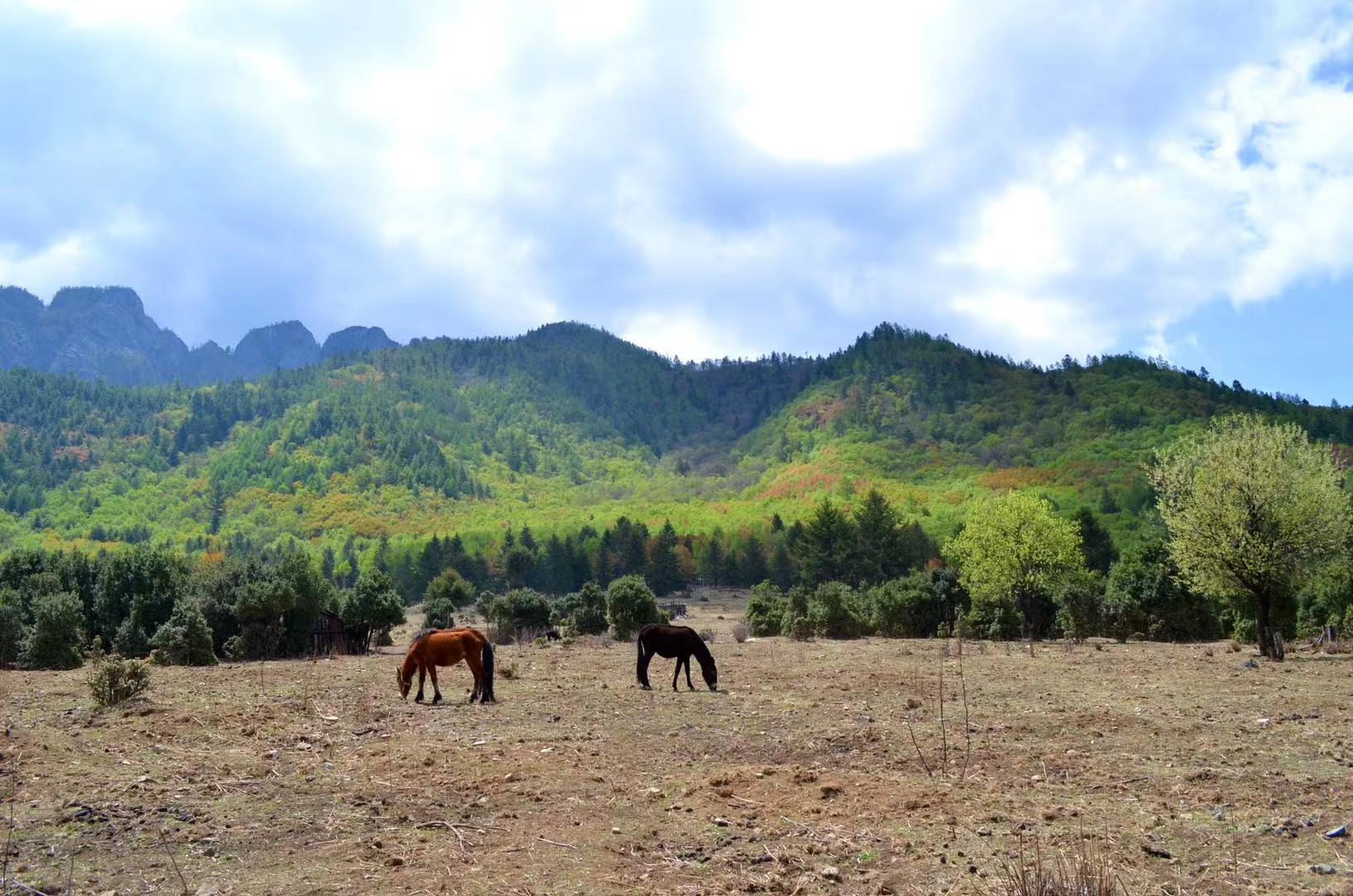 南宝牧场 摄影:双粒