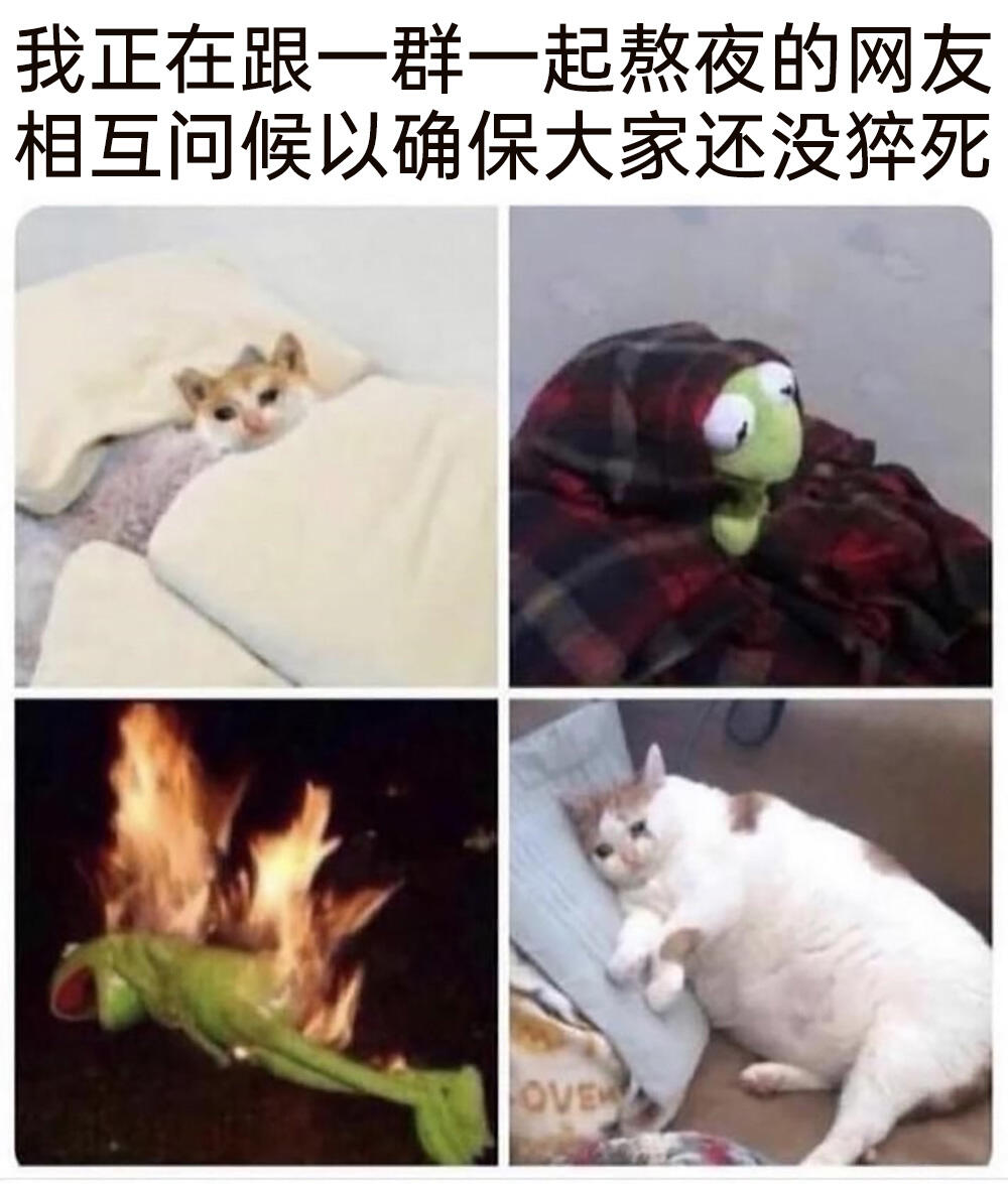 你是最棒的meme - 哔哩哔哩
