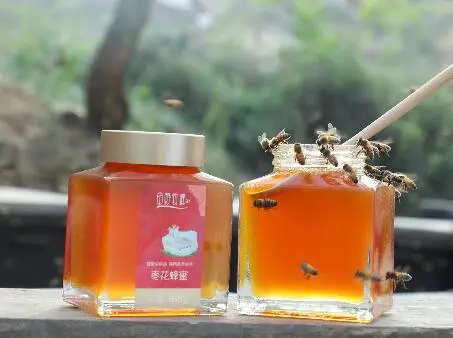 枣花蜜什么颜色最好 枣花蜂蜜颜色深的好还是浅的好 哔哩哔哩