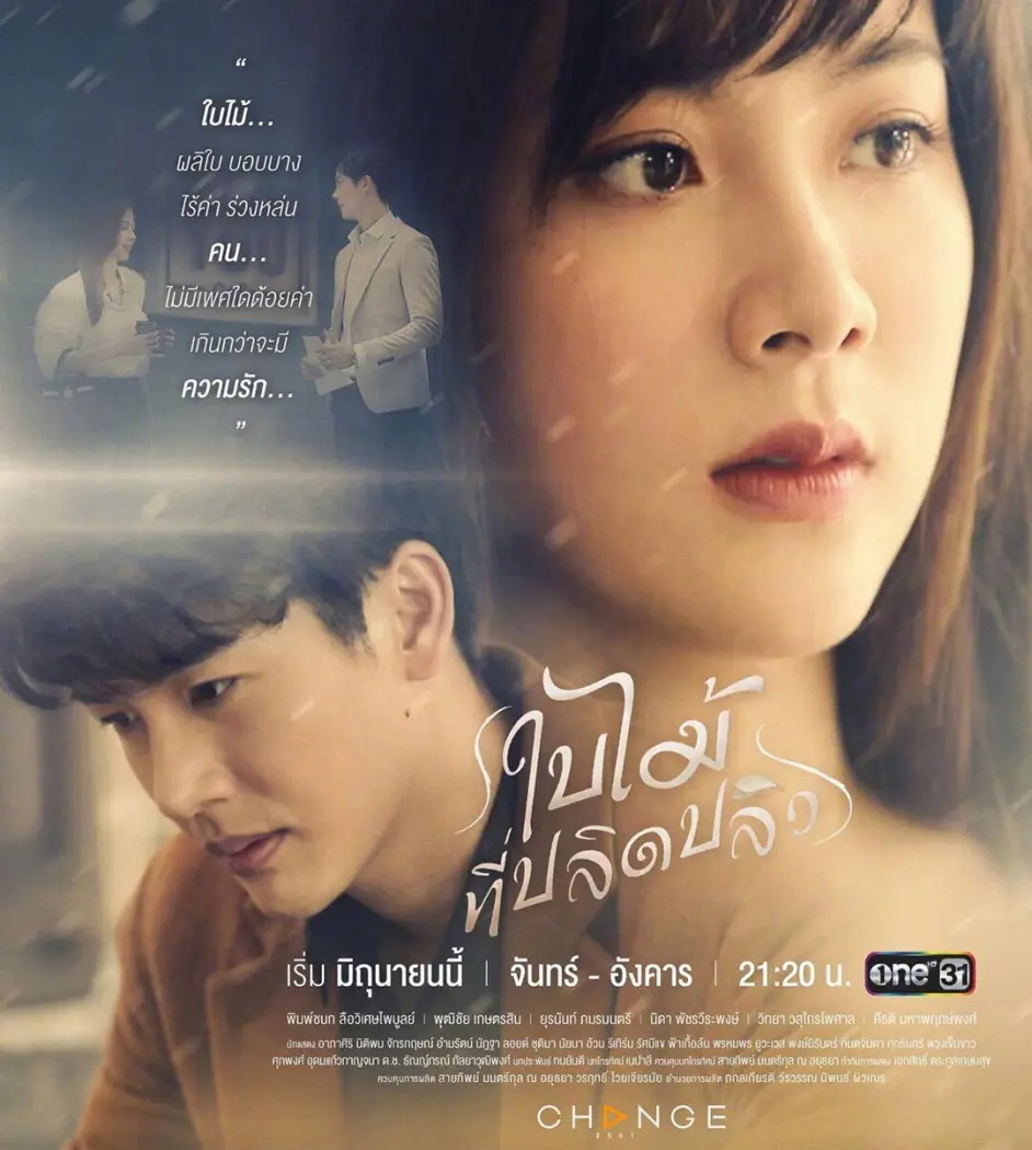 关于泰剧 吹落的树叶 的几个问题 哔哩哔哩