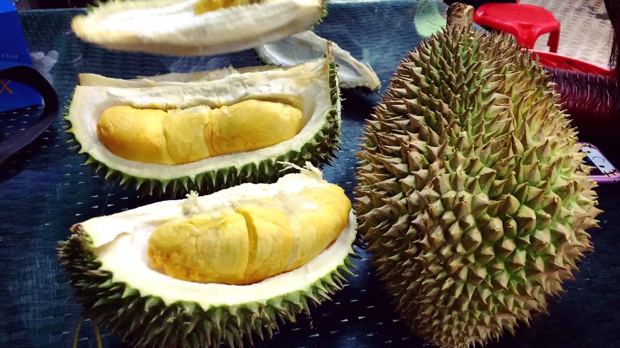 【Live Plant】Pokok durian belanda/ Soursop tree / 红毛榴莲树苗 1~2ft | Shopee ...