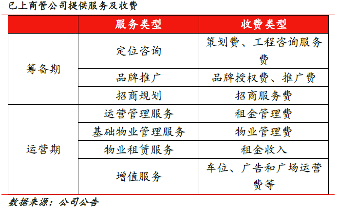 商业管理公司：市场潮涌中的舵手