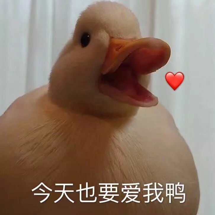 再来一个总结,这些专栏怕是我的吐槽贴,哈哈哈哈,希望小可爱们给我来
