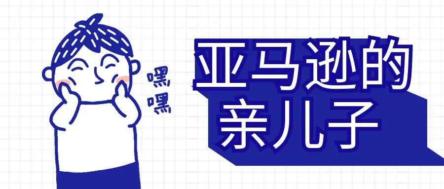 美国本土亚马逊开店的优势是什么 哔哩哔哩