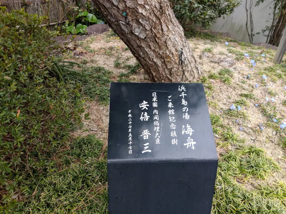 流水账游记 关西 纪伊半岛婚假10日游 2019年3月 哔哩哔哩