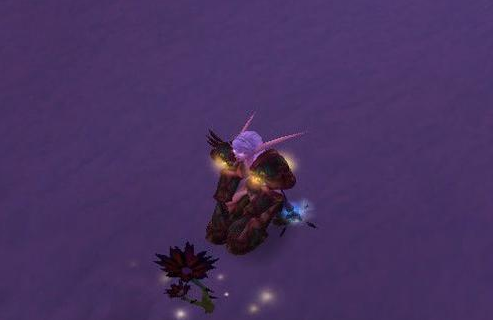 永恒不变的黑莲花