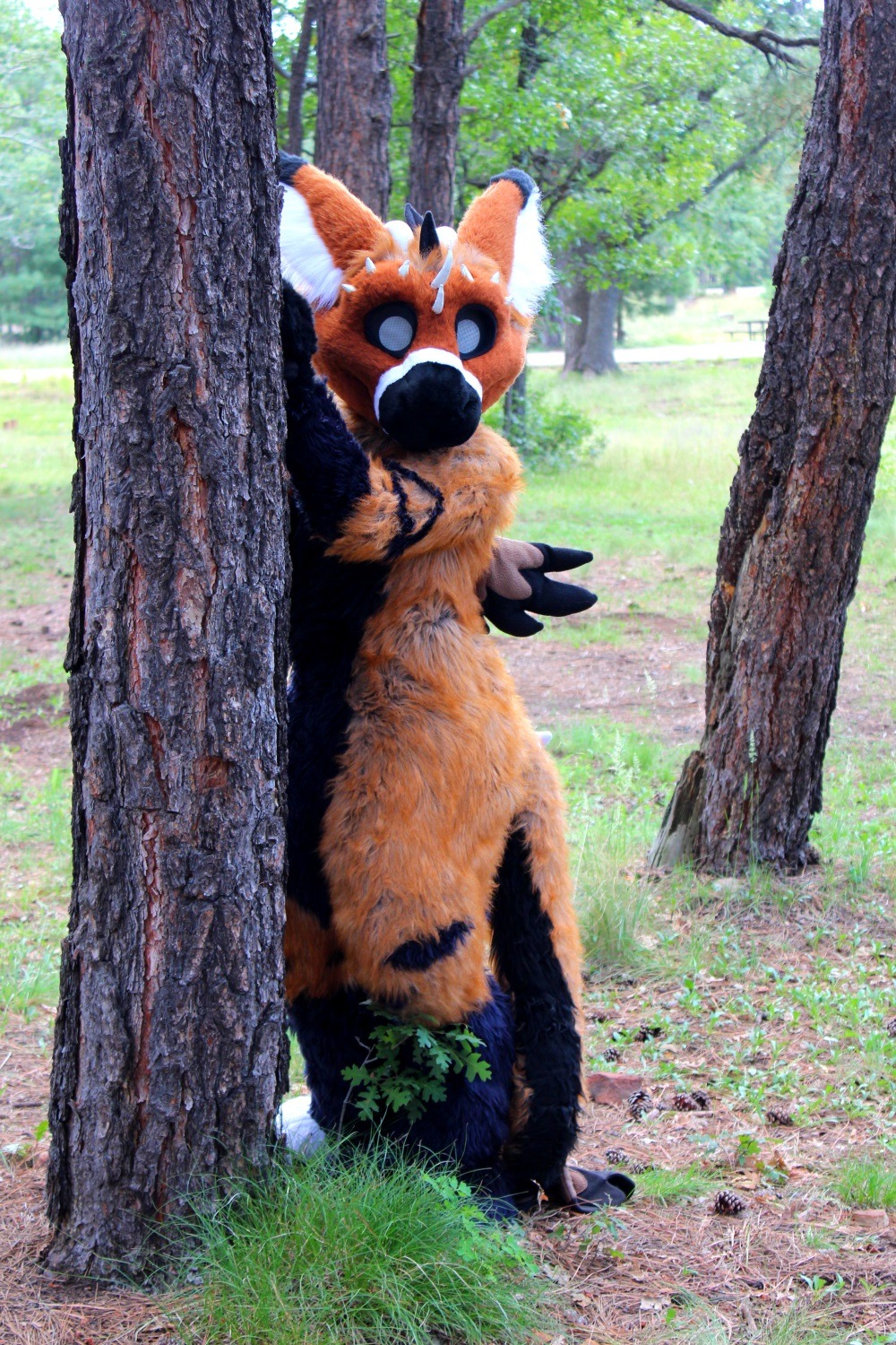 《天使龙》图集(二)