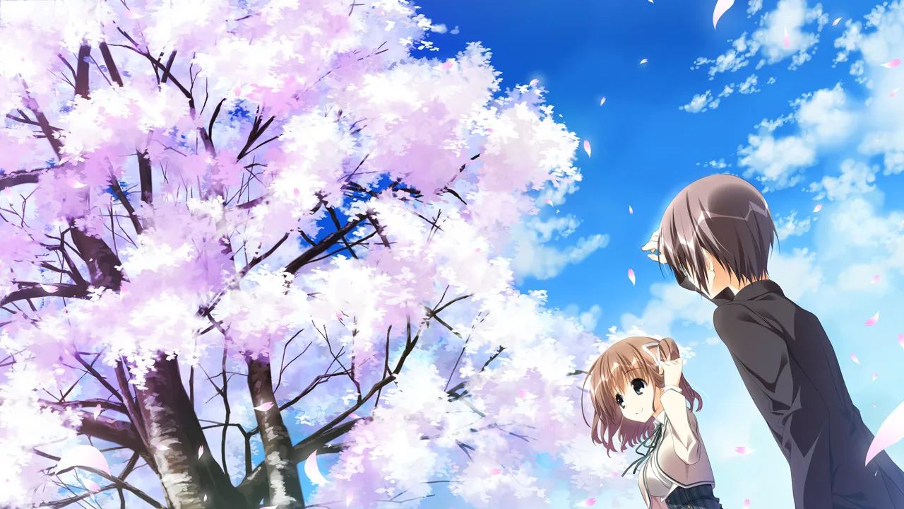 《樱之诗》全CG(CG-GAL-Makura01-2022082004) - 哔哩哔哩