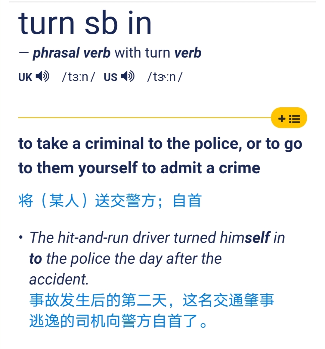 turn-sb-in