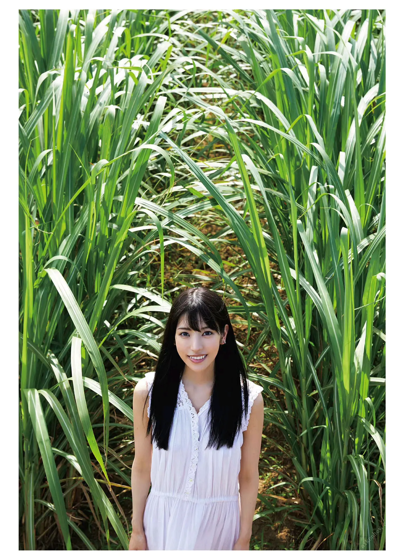 枫花恋 永失我爱 满目破败