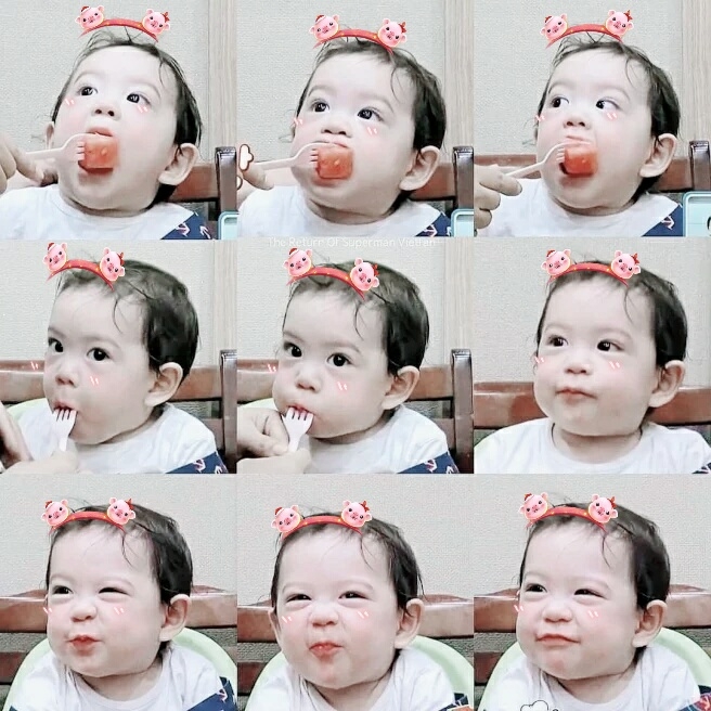 可爱的建厚猪猪!姨母忍不住拿你做表情包了!