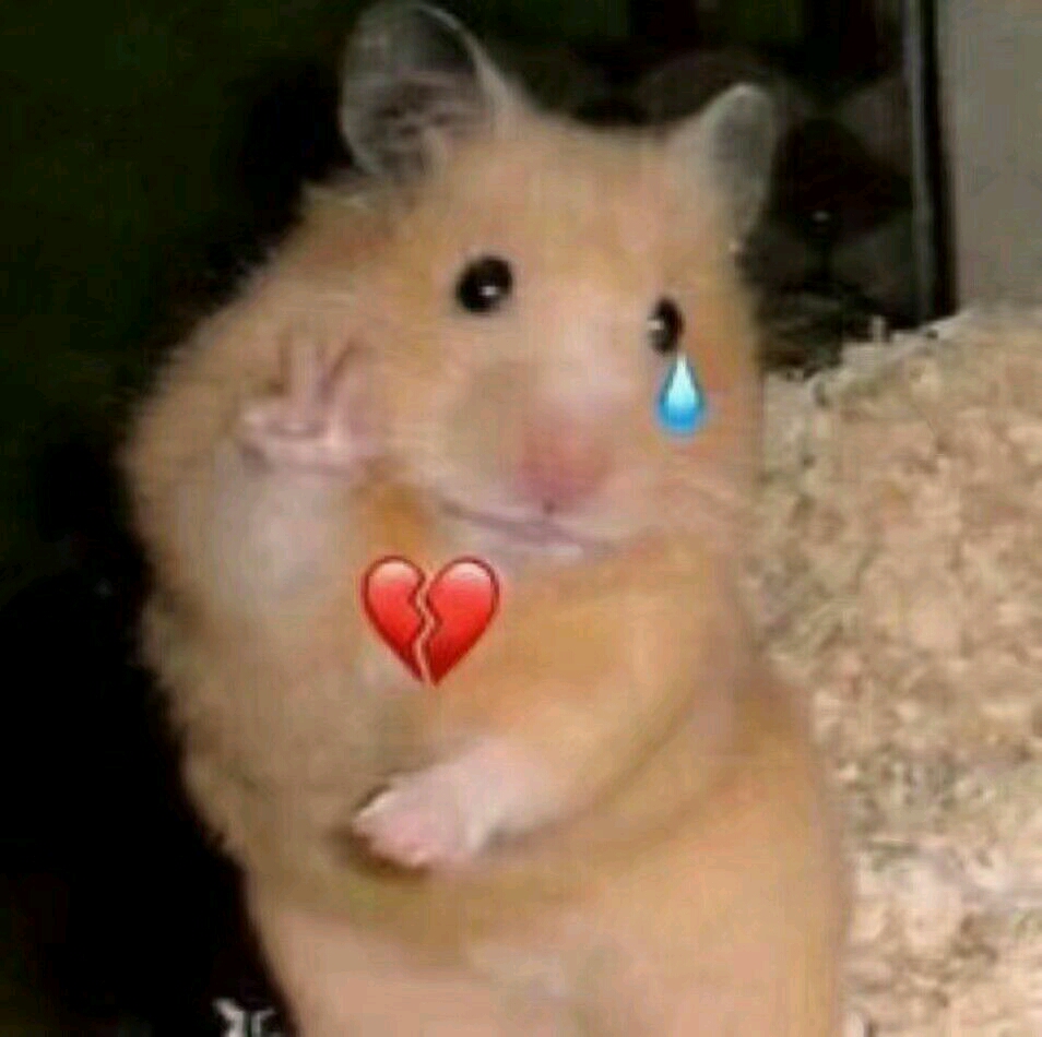 群内大佬的沙雕表情包第九十八期