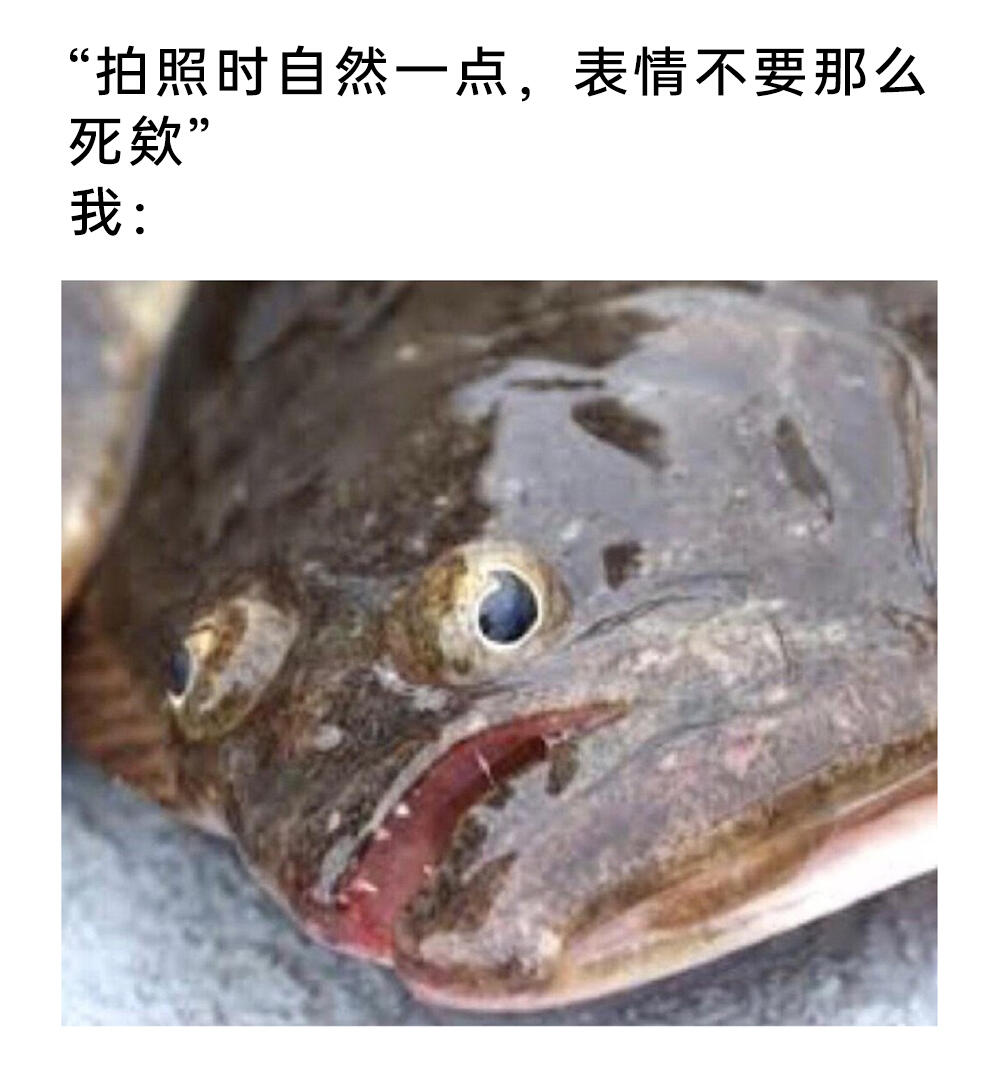 meme梗图:感谢互联网! - 哔哩哔哩