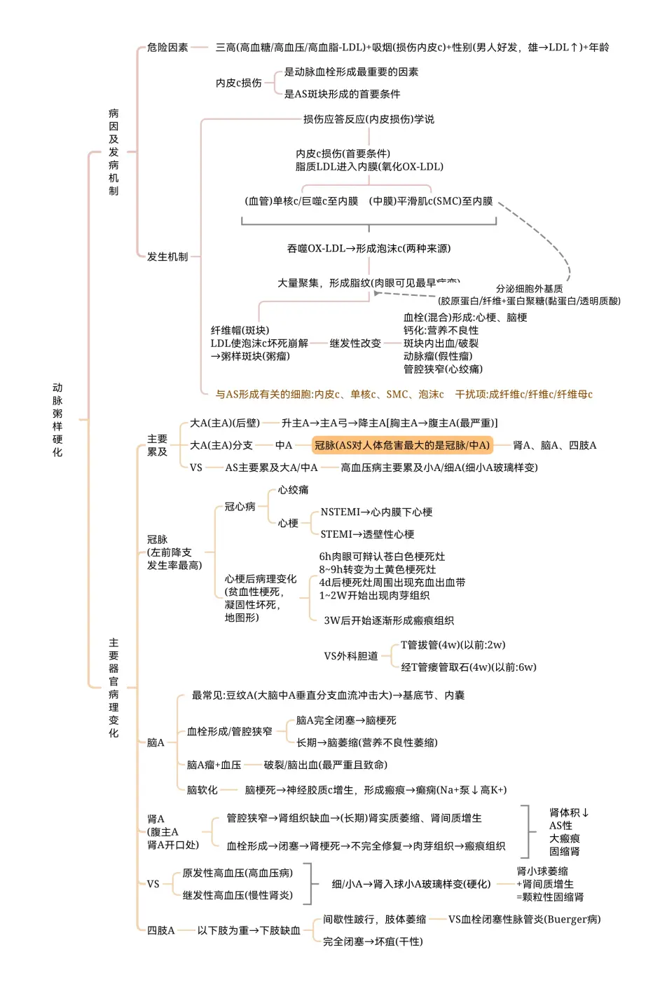 思维导图【病理学】第六章 心血管系统 存档 - 哔哩哔哩
