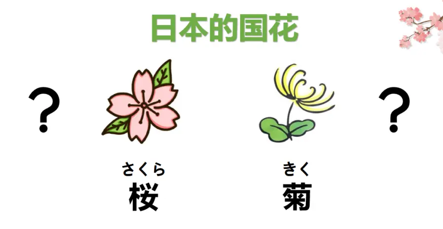 日本春季风物诗 中村老师双语讲座丨第63回日语沙龙回顾 哔哩哔哩
