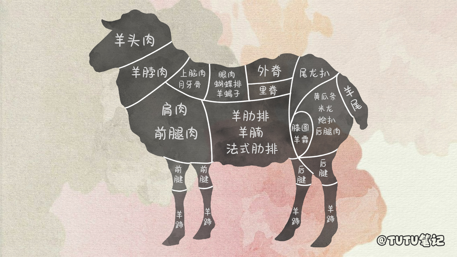 一篇文章让你成为懂羊人！带你认识不同部位的羊肉和吃法有哪些，最全的羊肉分类 - 哔哩哔哩