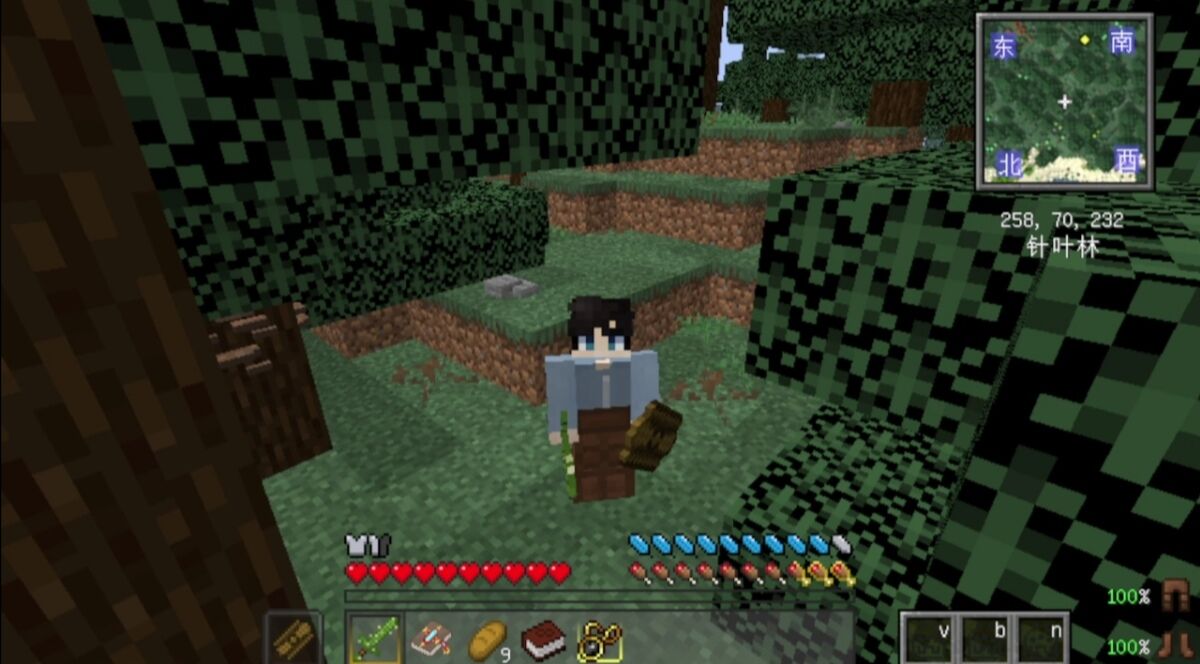  minecraft rad2 