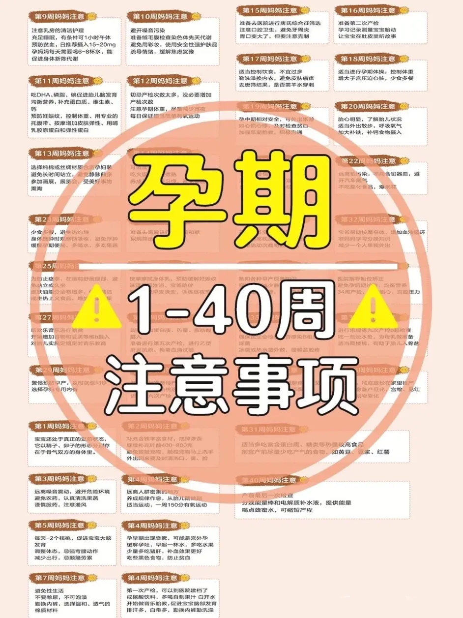 孕期1 40周的注意事项 生一个健康宝宝 哔哩哔哩