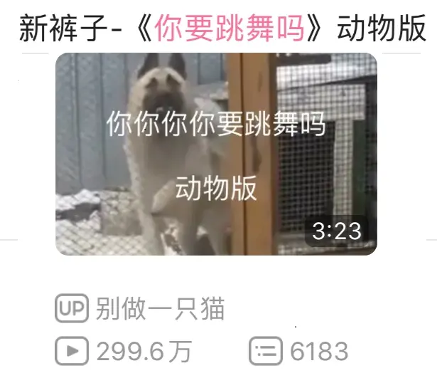 视频里的片段导出来啦 快来保存沙雕gif 哔哩哔哩