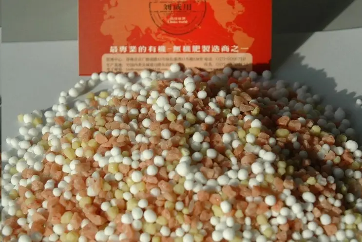 蓝妖 连续阴雨天怎么追肥 2个小方法 让你的月季吃个饱 哔哩哔哩