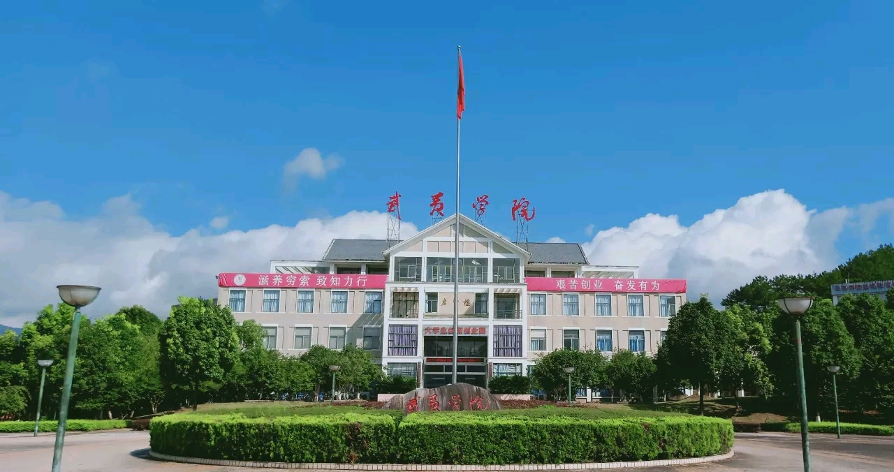 上次的投票你们看了吗