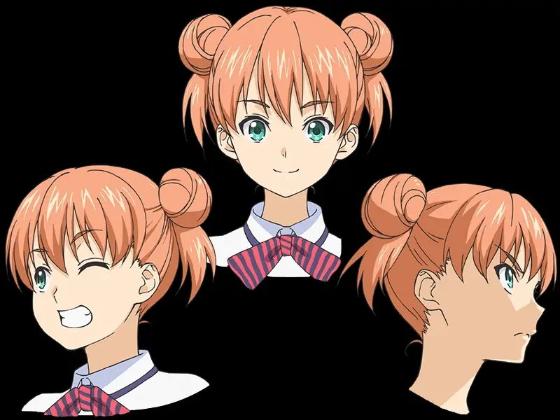 食戟之灵非主要人物官方介绍 这次是极星寮学生 彡 ノ ᴗ ノ新年快乐 哔哩哔哩