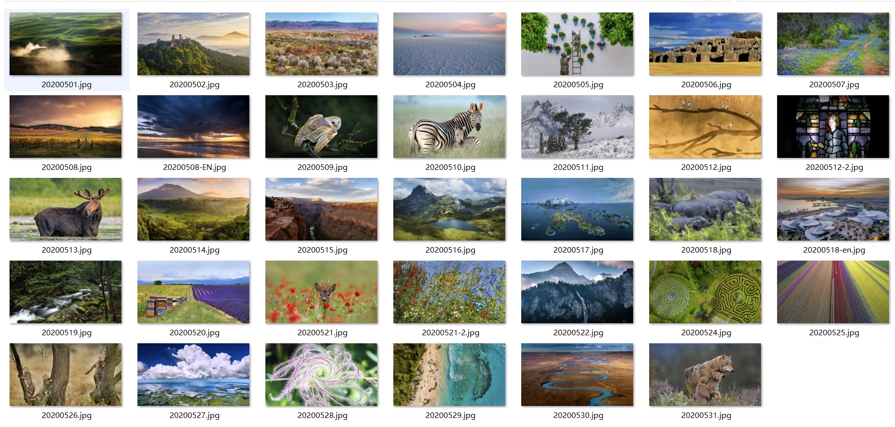 2020年必应壁纸387张全打包下载 哔哩哔哩