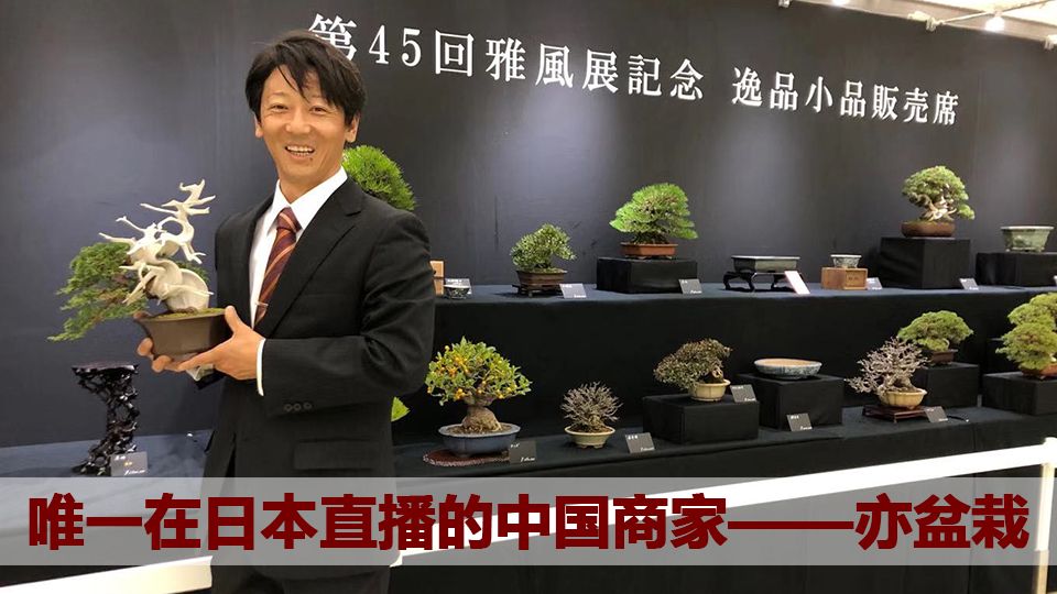 关于亦盆栽 哔哩哔哩