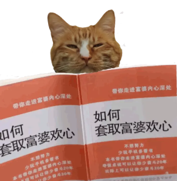 猫咪也懂pua 4步教你摆脱渣猫情感陷阱 哔哩哔哩