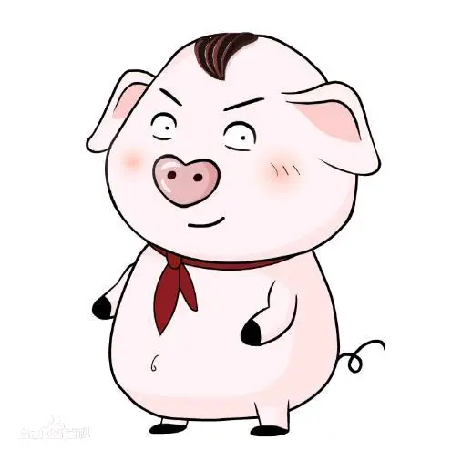 猪屁登 哔哩哔哩