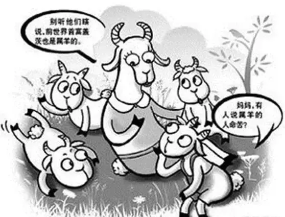 农村有 十羊九不全 一全坐殿堂 的俗语 属羊的女子命不好吗 哔哩哔哩